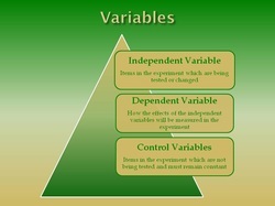 variables.jpg