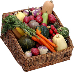 vegetable_basket.jpg