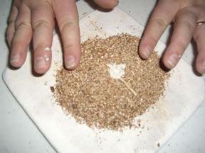 vermiculite-2396.jpg