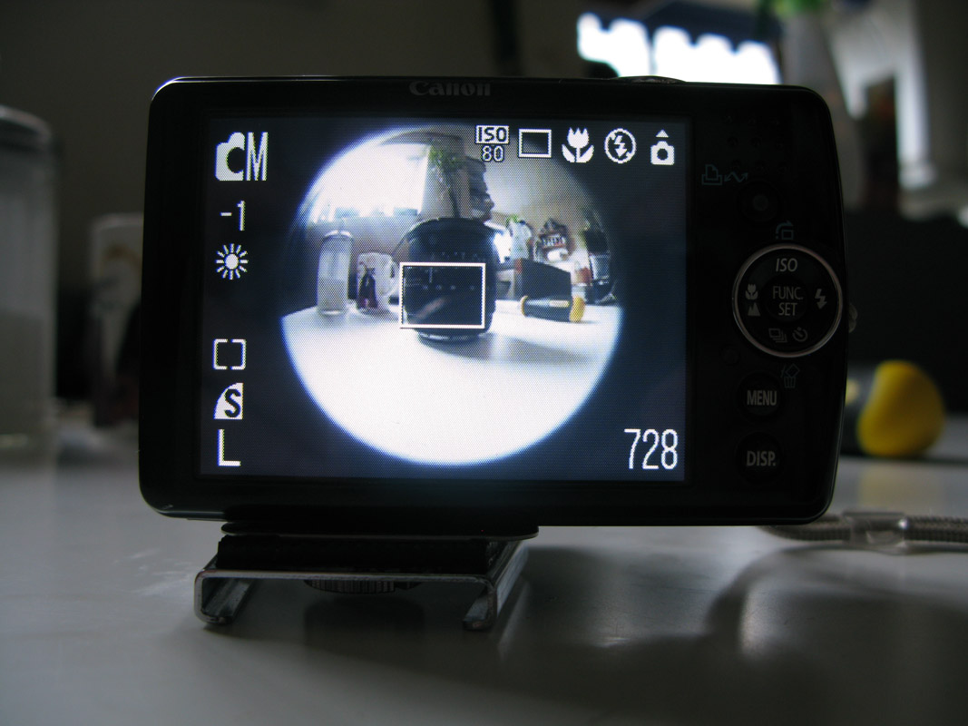 view through camera.jpg