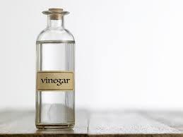 vinegar.jpeg