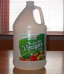 vinegar.png