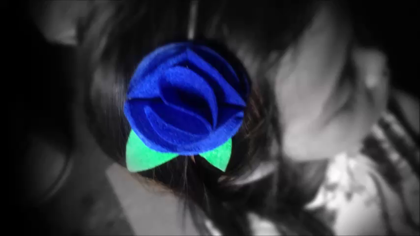 vlcsnap-2016-01-30-03h26m04s91.png