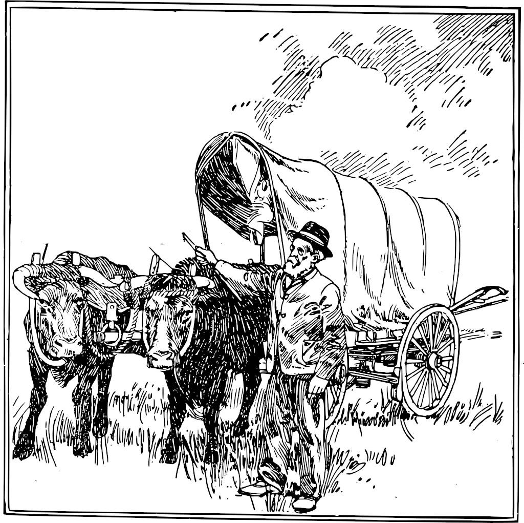 wagon-ox.jpg