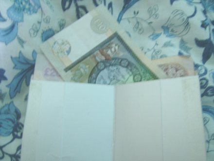 wallet 2010.jpg