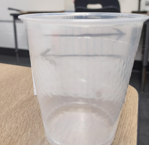 water no cup 8.00.46 AM.png