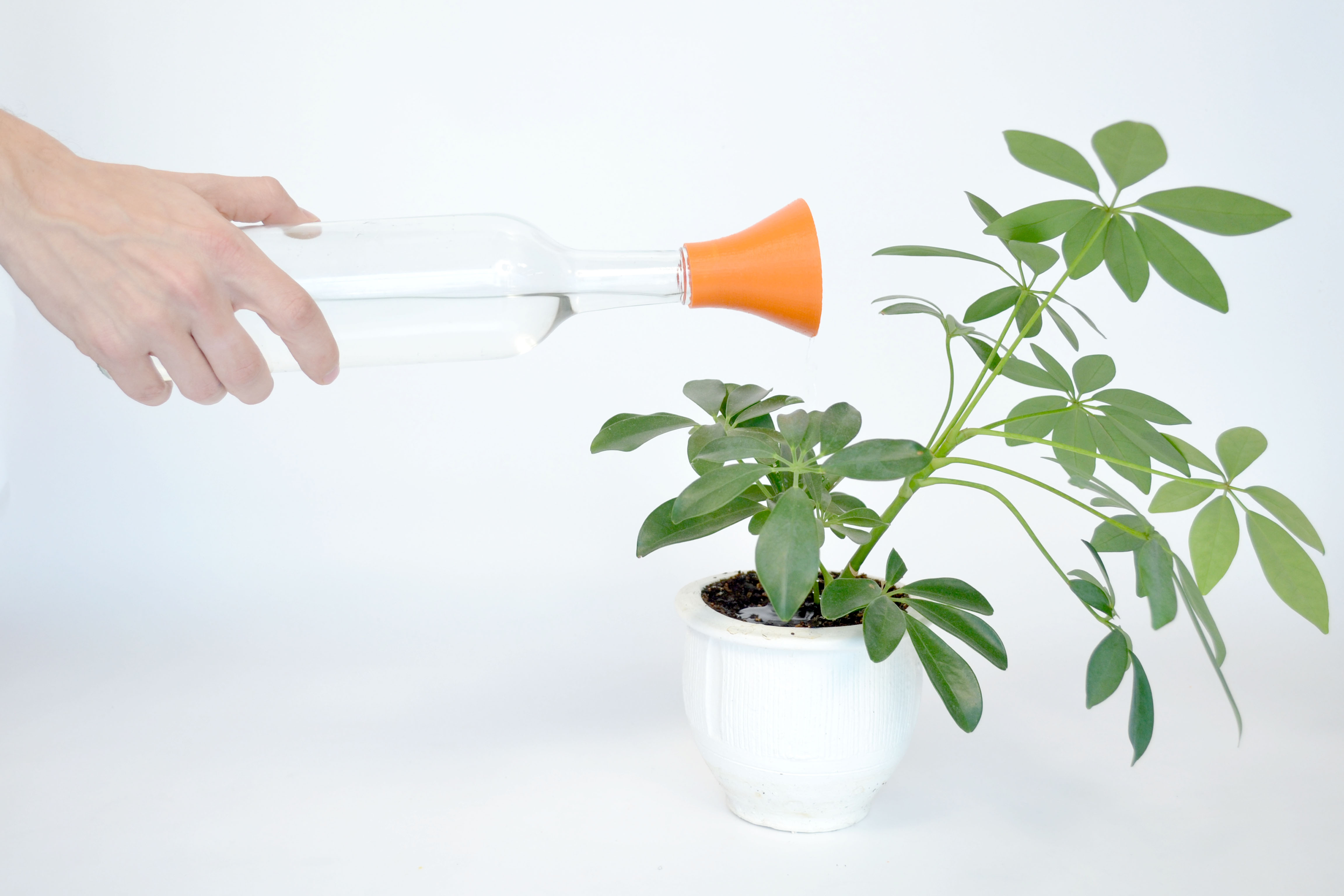 watering can by samuel bernier.jpg