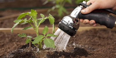 watering perennials.png