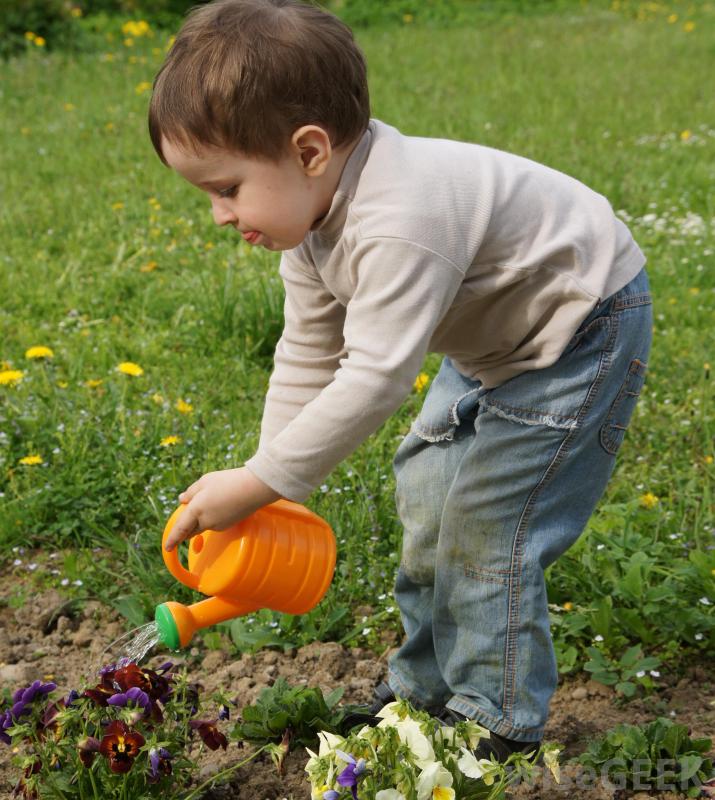 watering the flowers.jpg