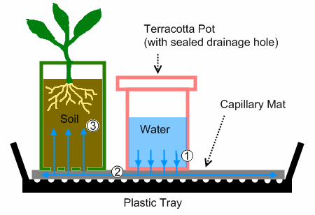 watering-tray-schematic21.png