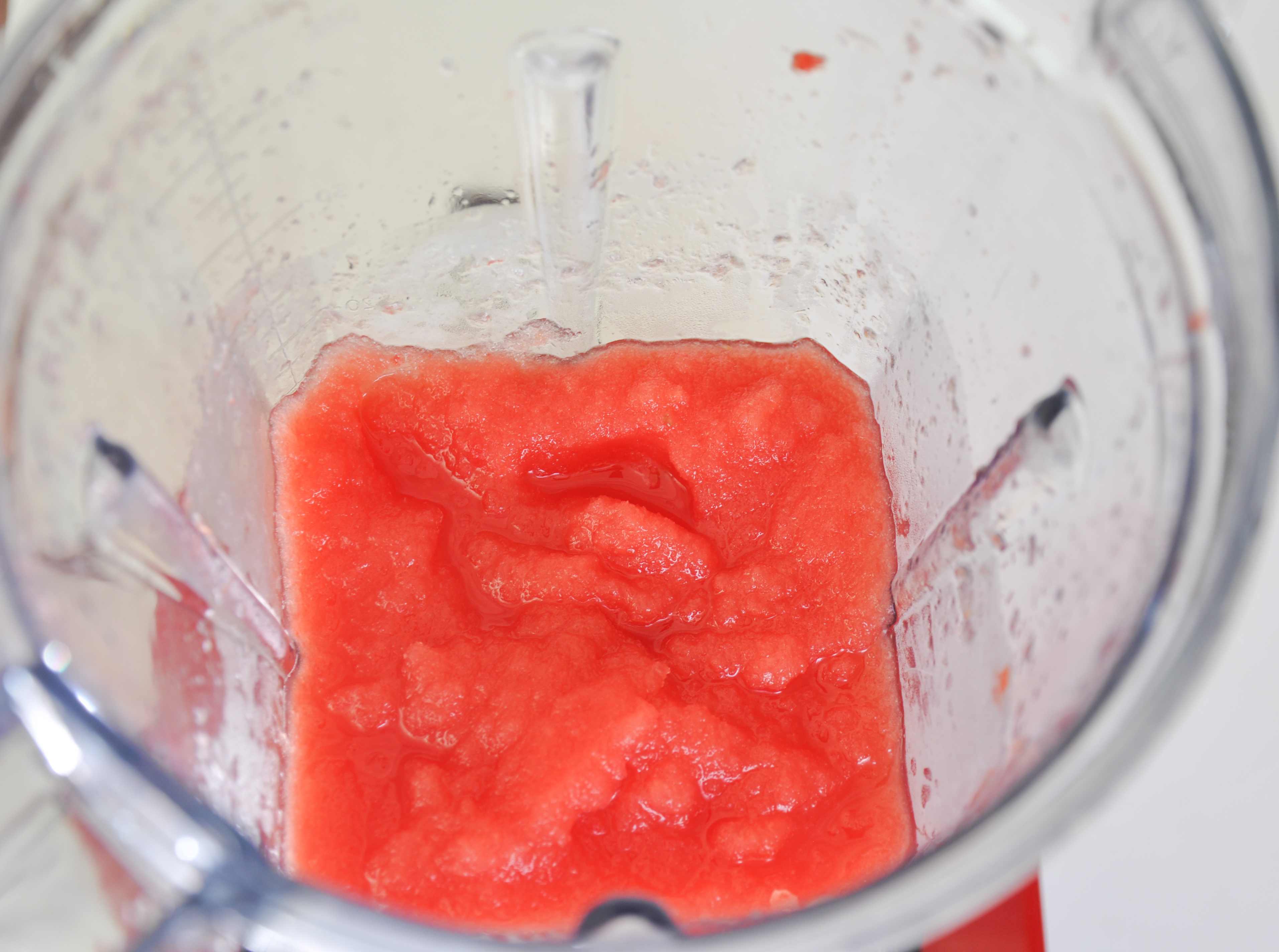 watermelon slush-7.jpg