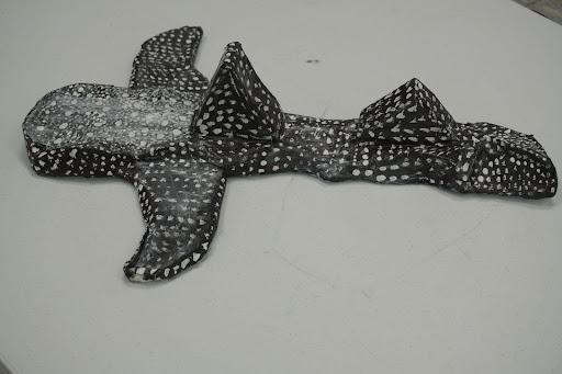 whale shark pic.jpg