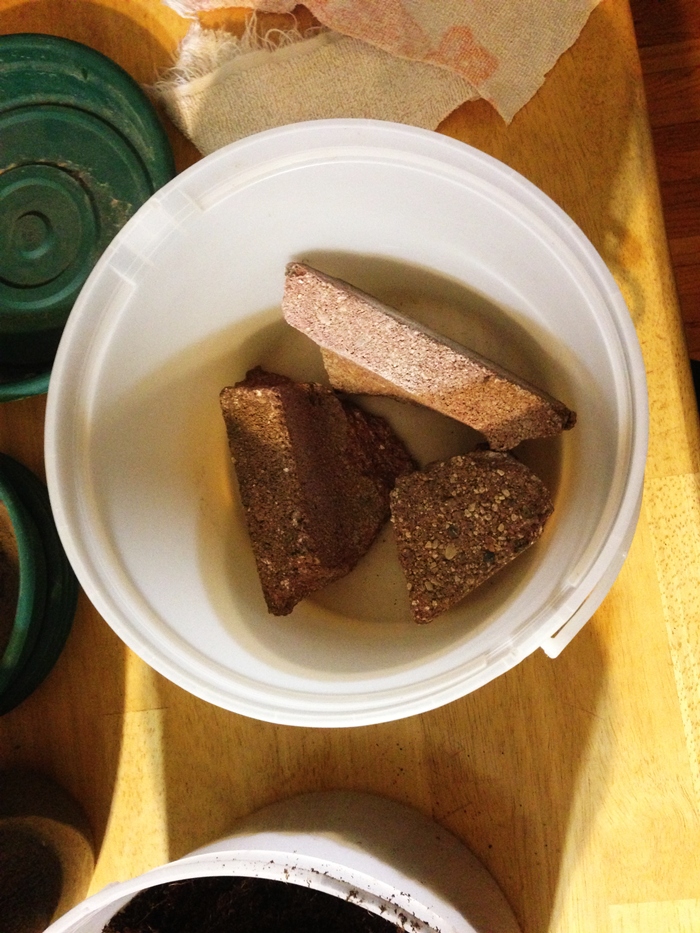 wick hydroponic system brick in bottom of pail.JPG