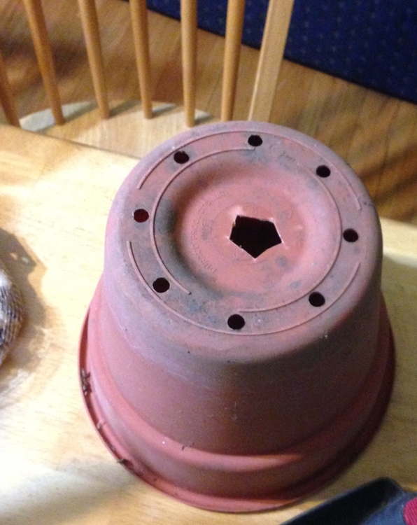 wick hydroponic system pot with hole in it.JPG