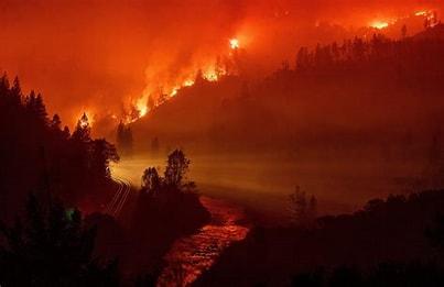 wildfire image.jpg