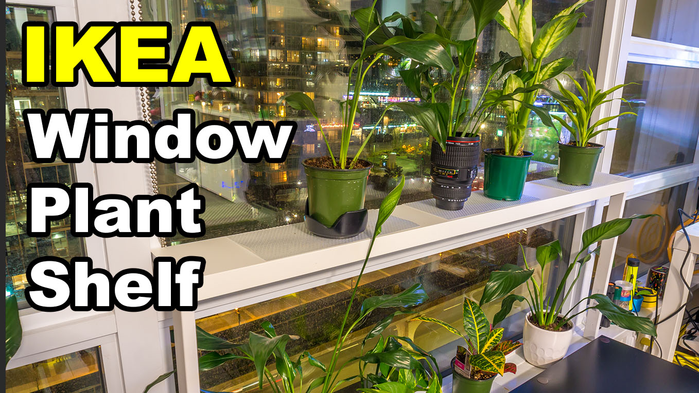 window-plant-shelf.jpg