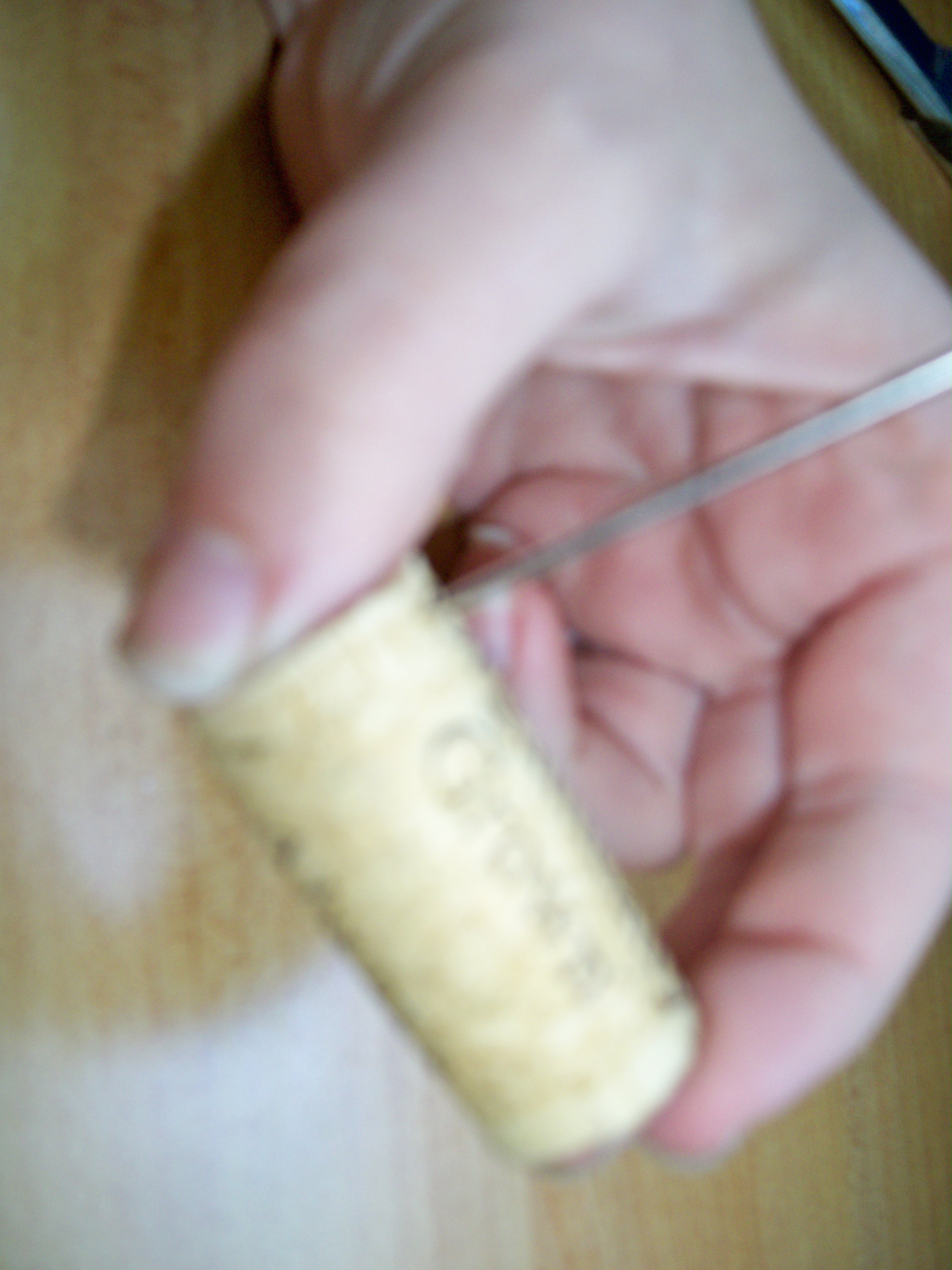 wine cork wine charms 004.JPG