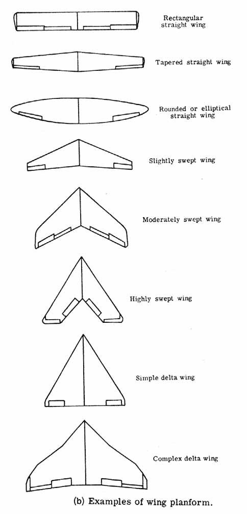 wing shapes.jpg