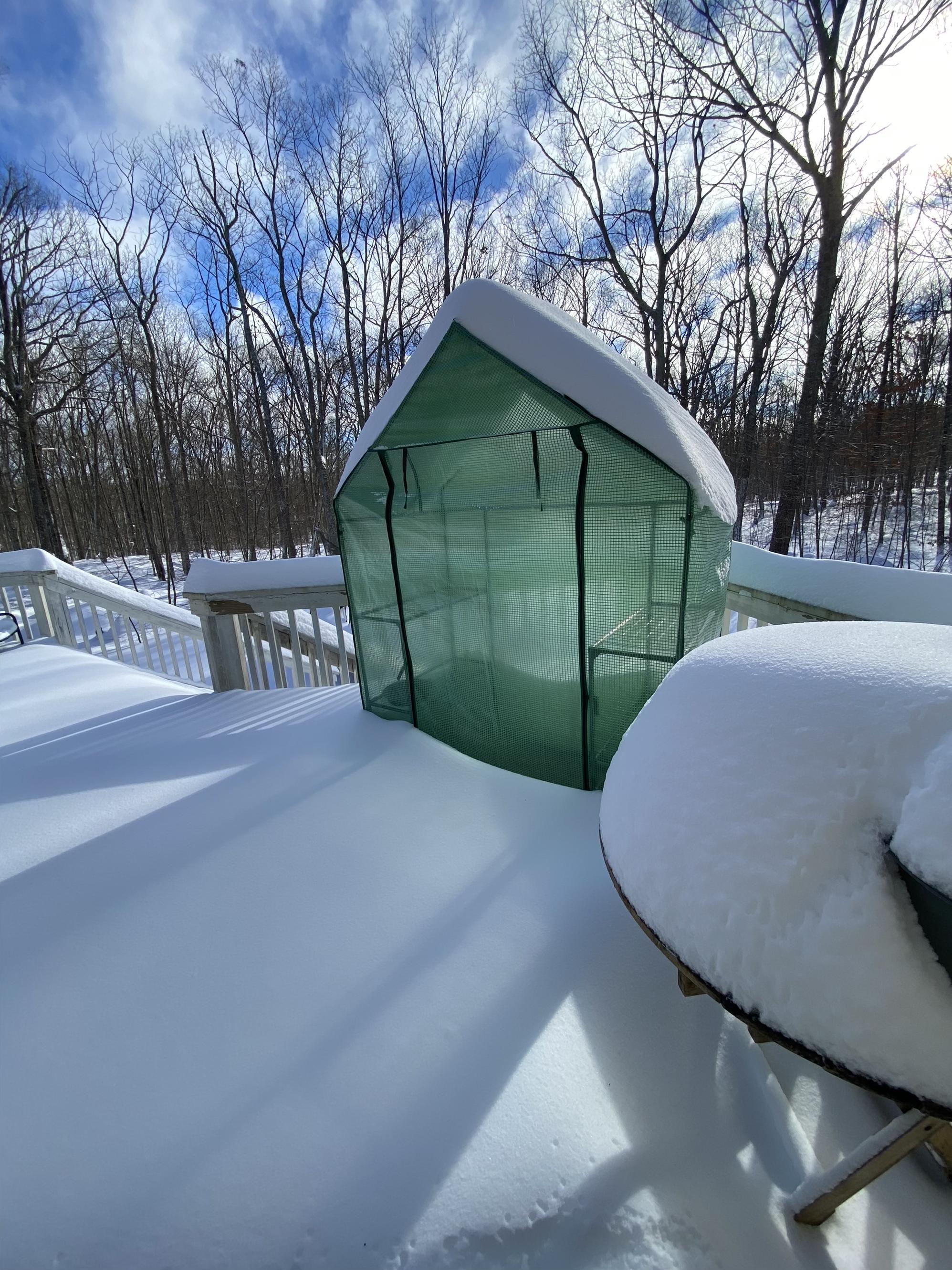 winter-greenhouse.jpg