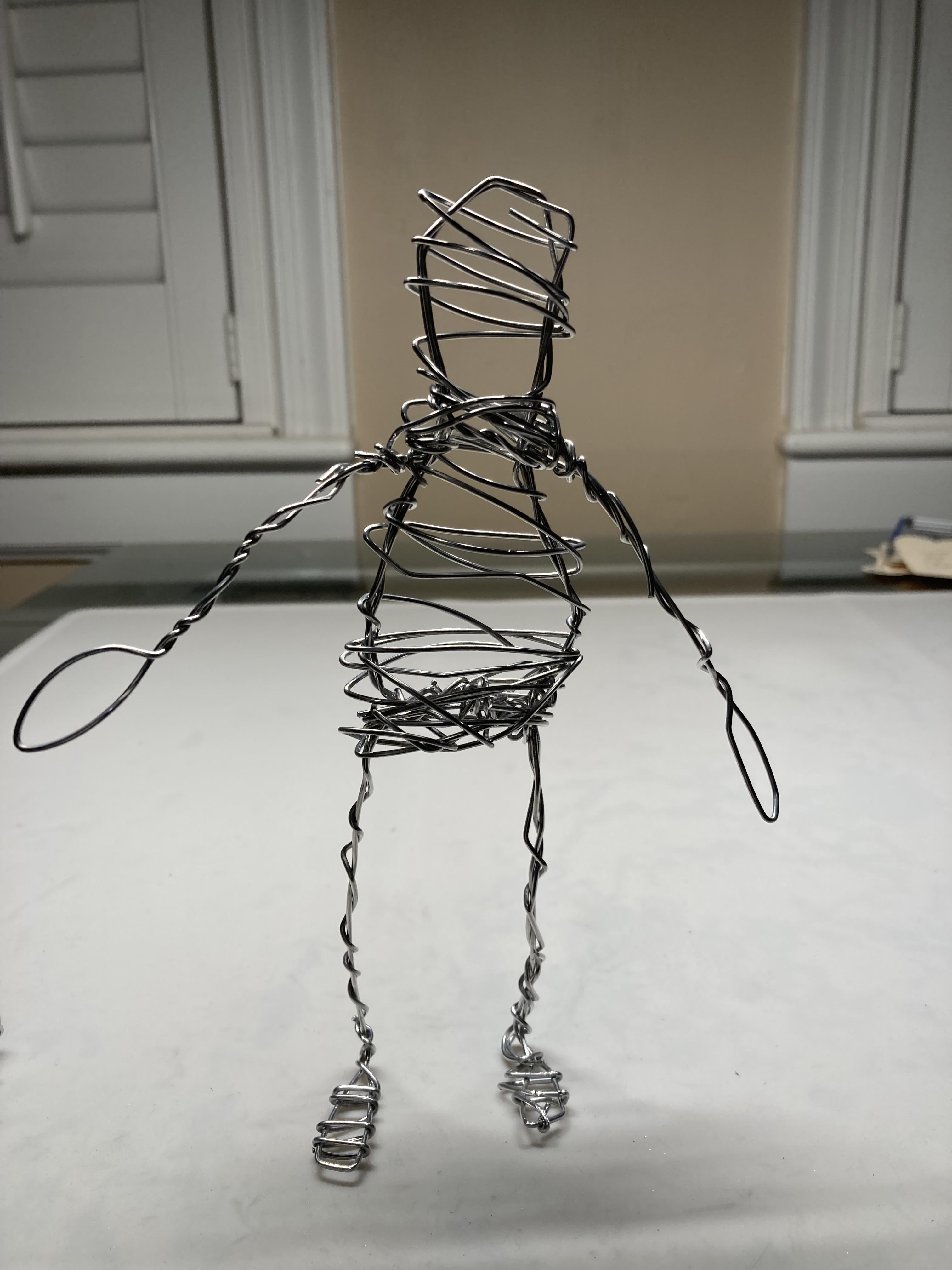 wire frame.jpg