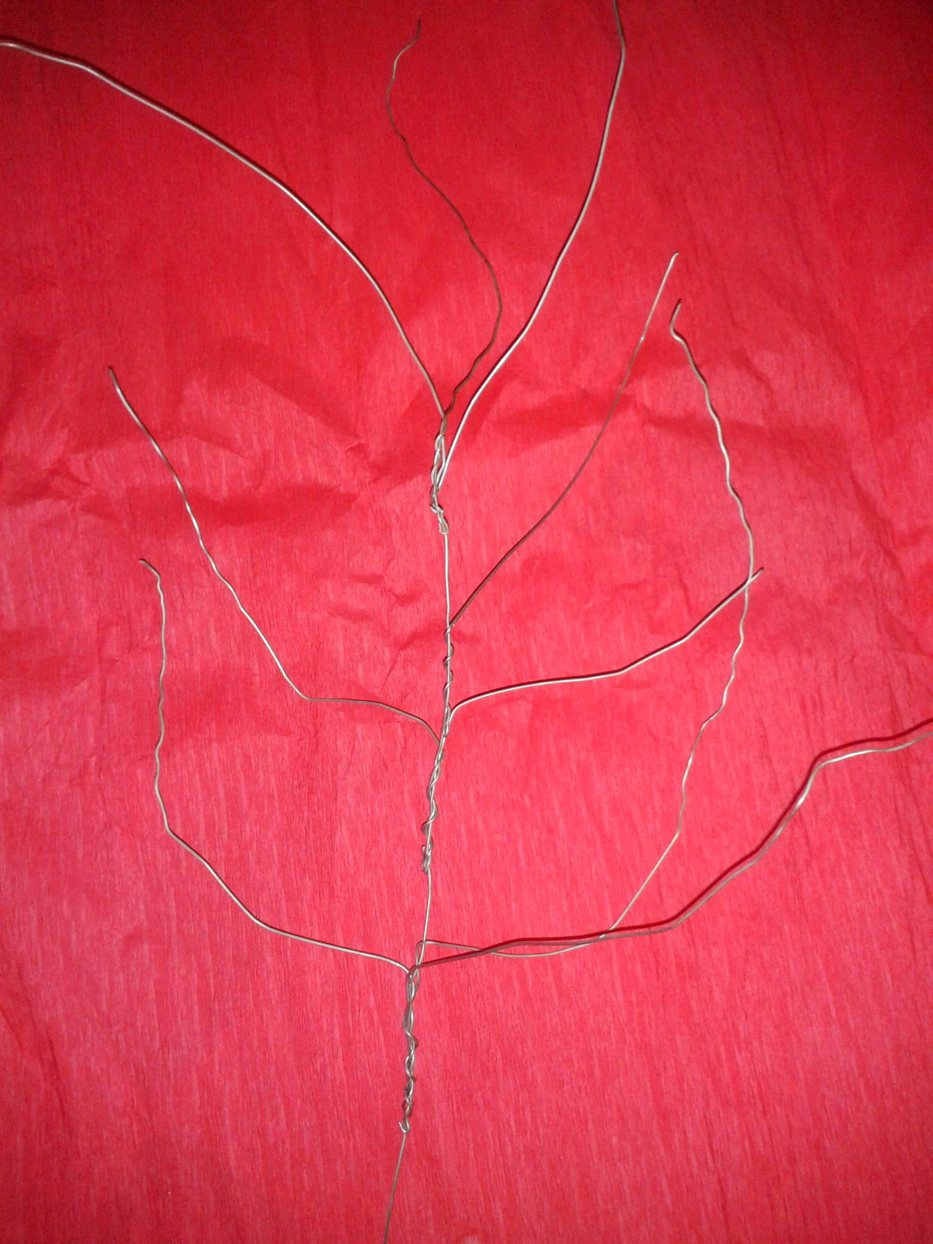 wire structure.jpg