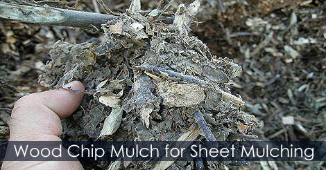 wood-chip-mulch-sheet-mulching.jpg