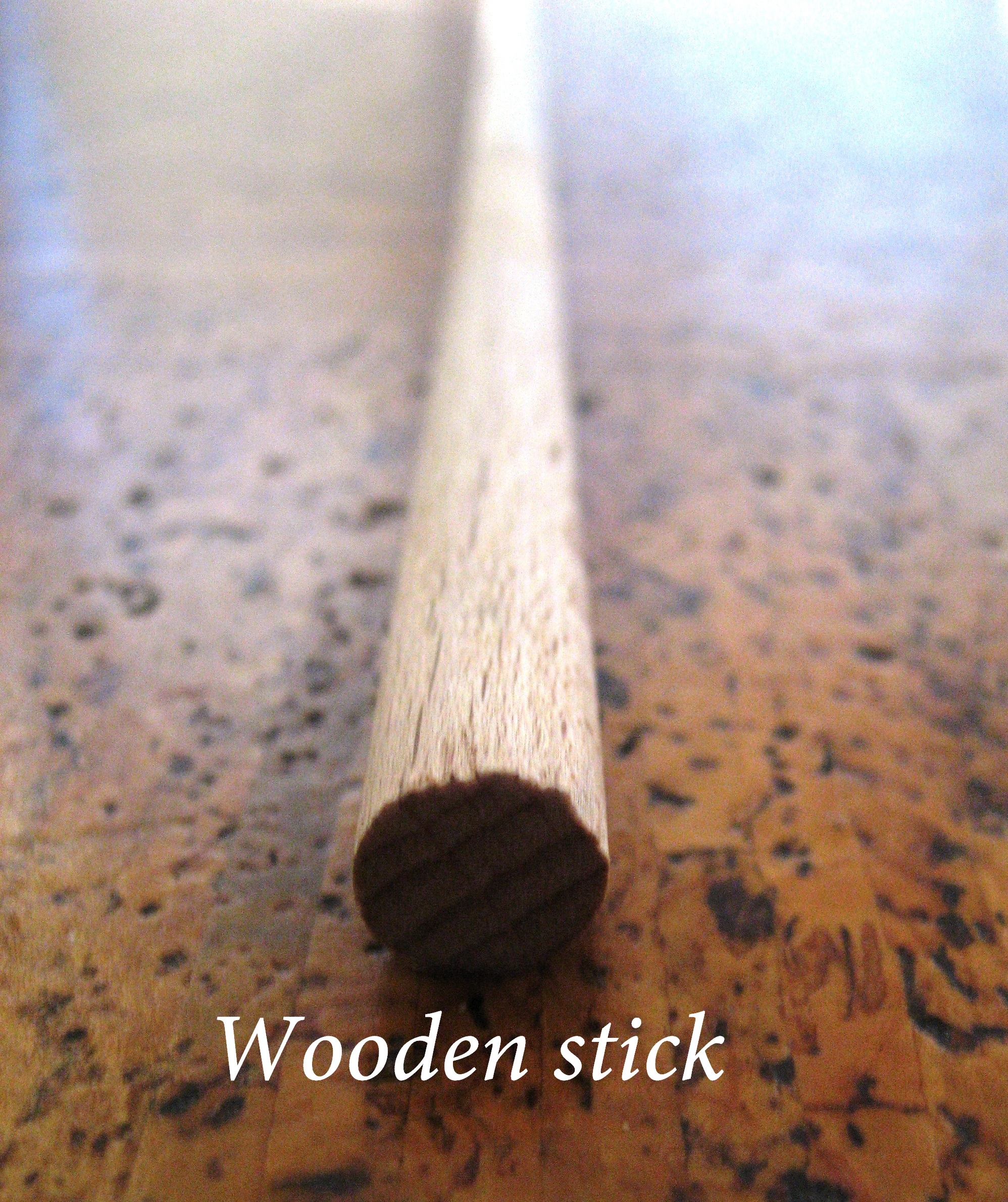 wooden stick.jpg