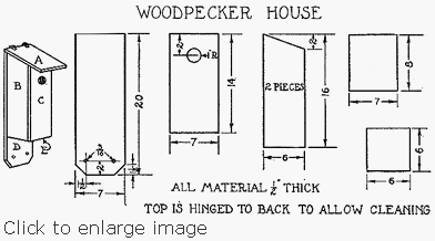 woodpeckerplan2.gif