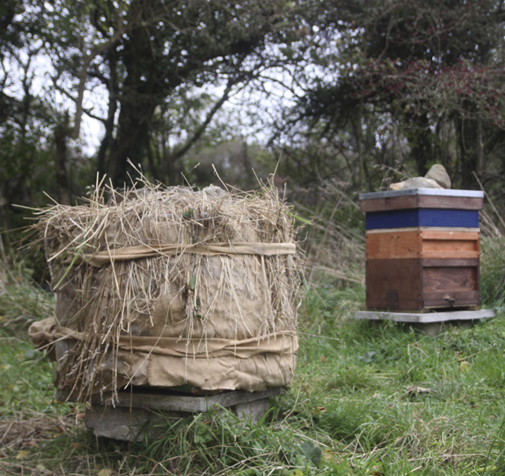 wrap up warm a beehive small 3.jpg