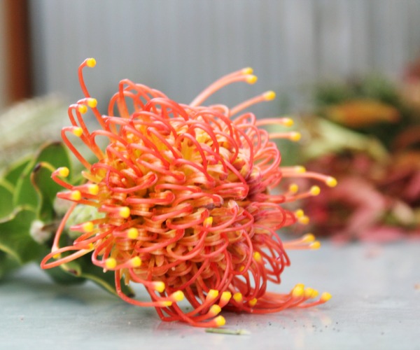 wreath flora detail 1.jpg