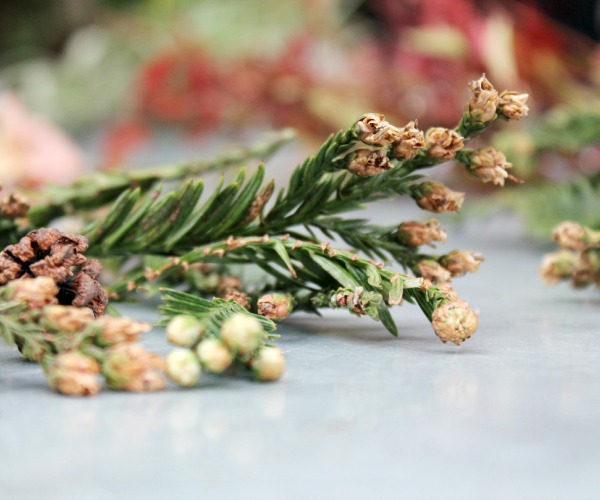 wreath flora detail 3.jpg