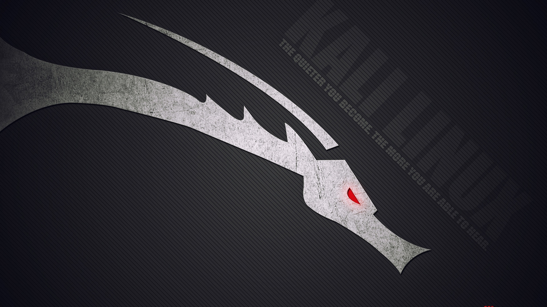 ws_Kali_Linux_1920x1080.jpg