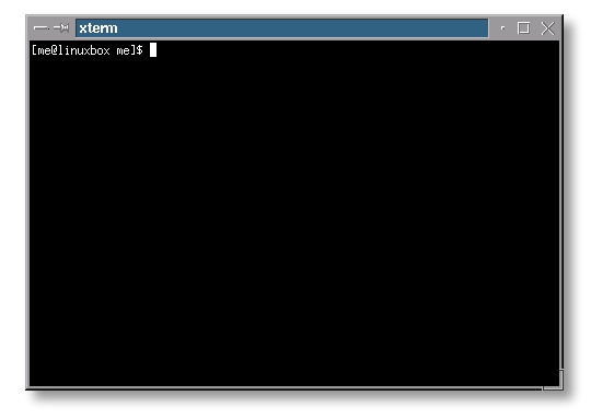 xterm.jpg