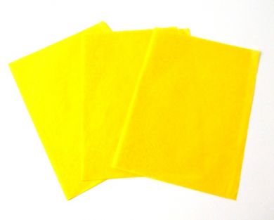 yellow_tissue.JPG