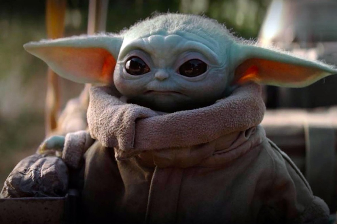 yoda wrinkles.jpg