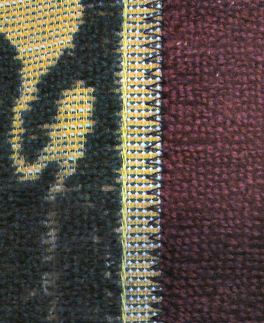 zigzag close up.JPG