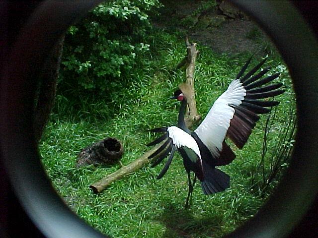 zoo48.JPG