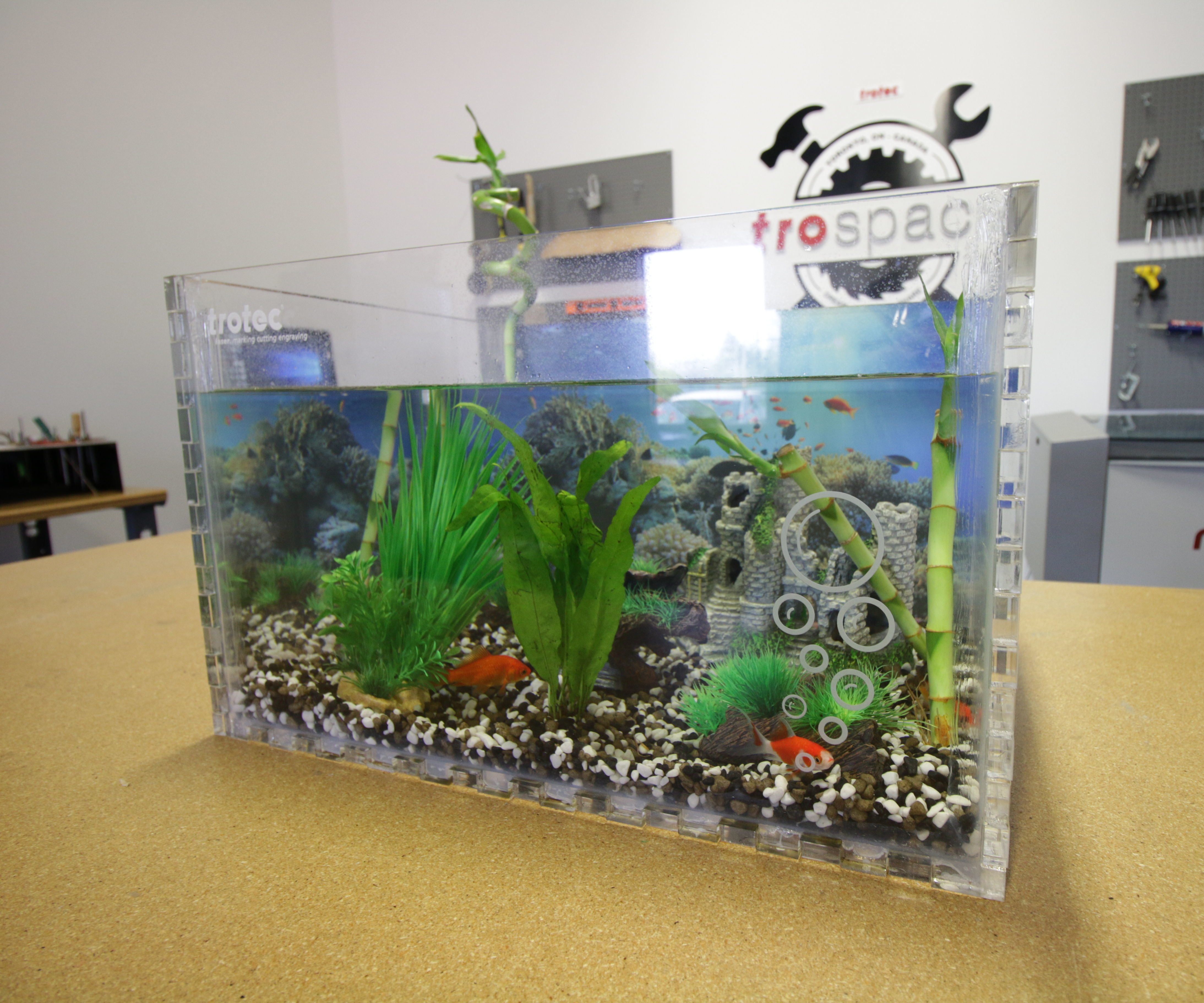 Aquarium - Laser Cut & UV Printed Acrylic