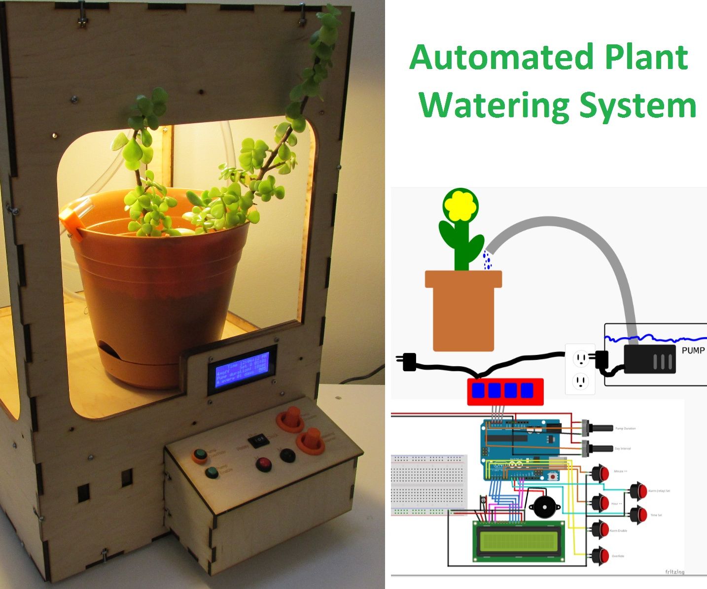 Automated Plant Watering System