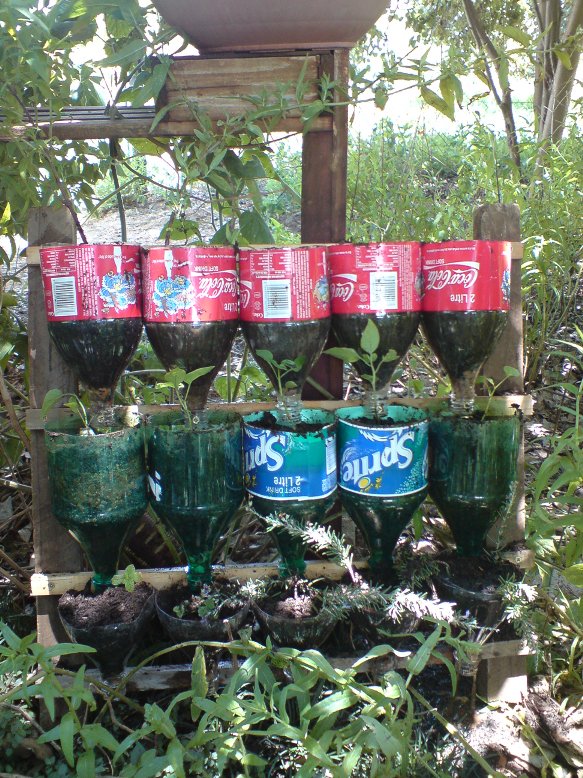 Bottle Herb Garden &#8211; a Recycling Project.