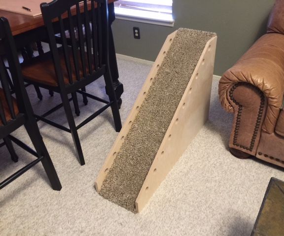 Dog Ramp