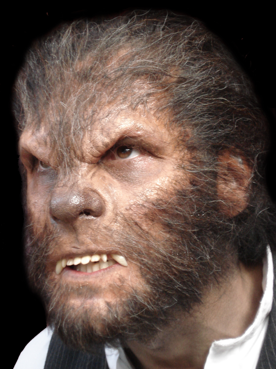 How to Become a Werewolf - Wolfman Halloween Prosthetics!