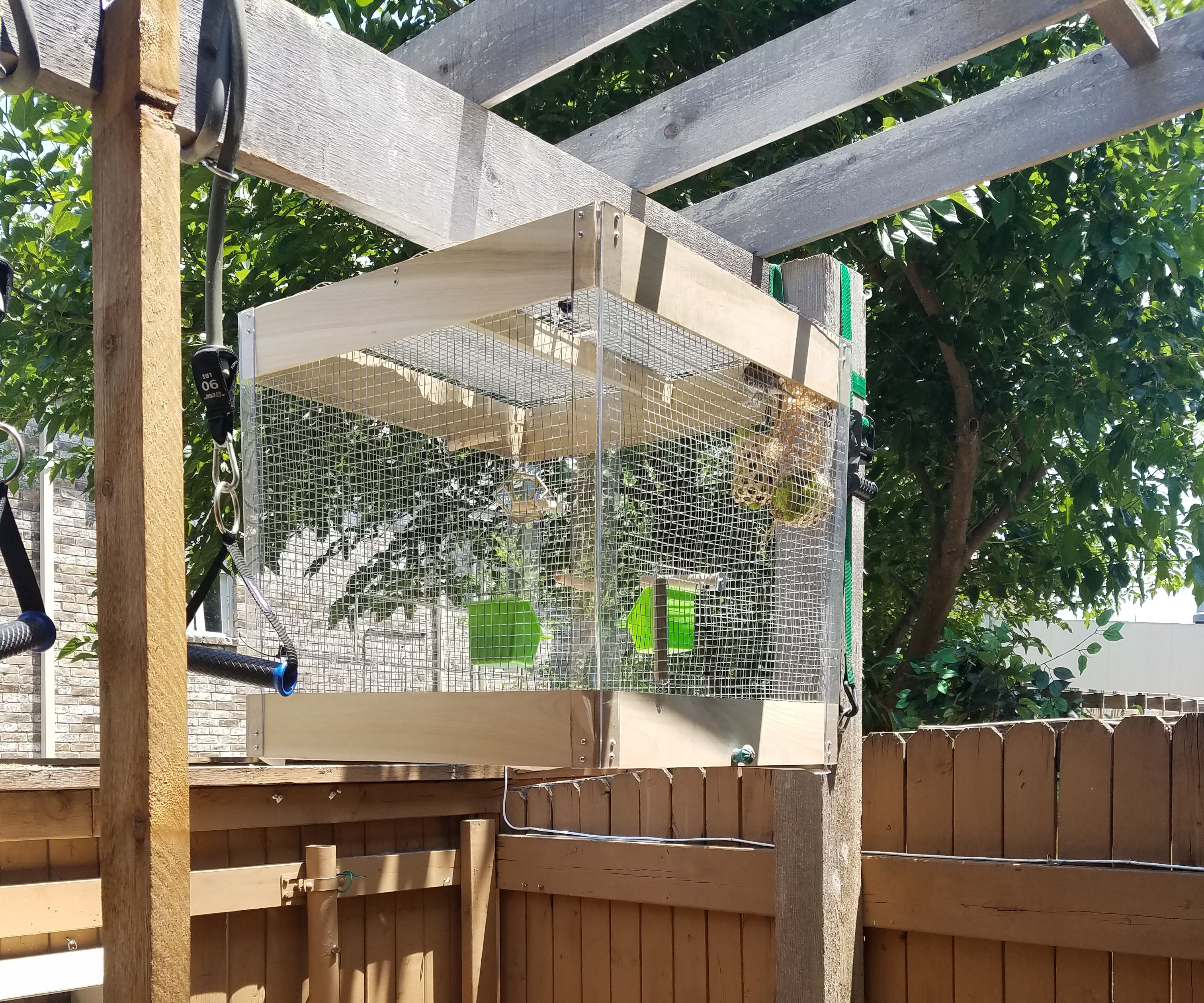 Plexiglass Bird Cage
