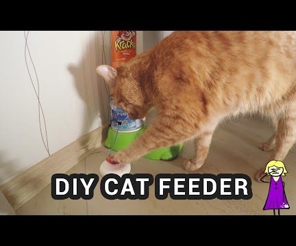 Arduino Cat Feeder
