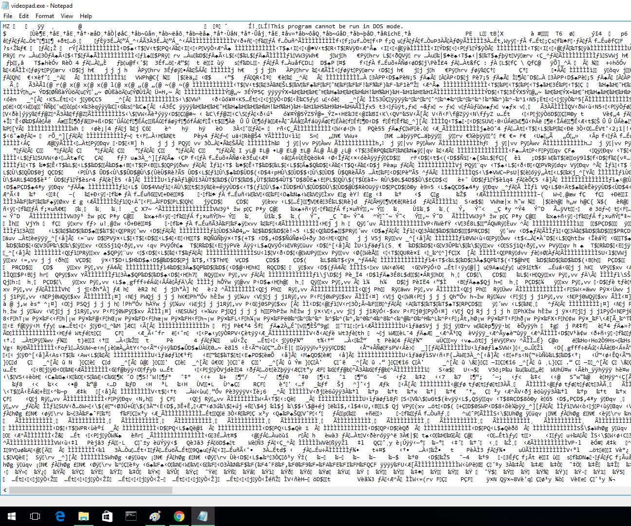 How to Open a .exe File in Notepad!
