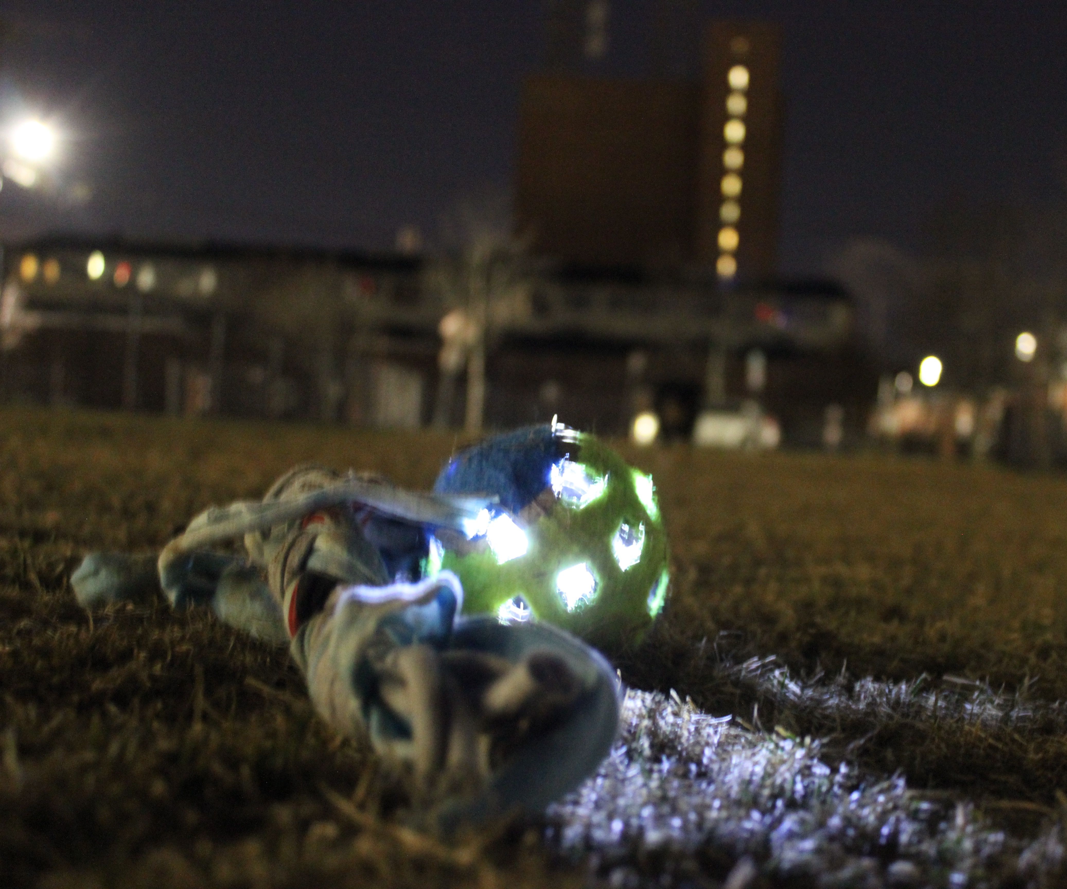 $3 Light Up Dog Toy
