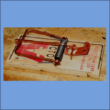 Mouse Trap Speed!