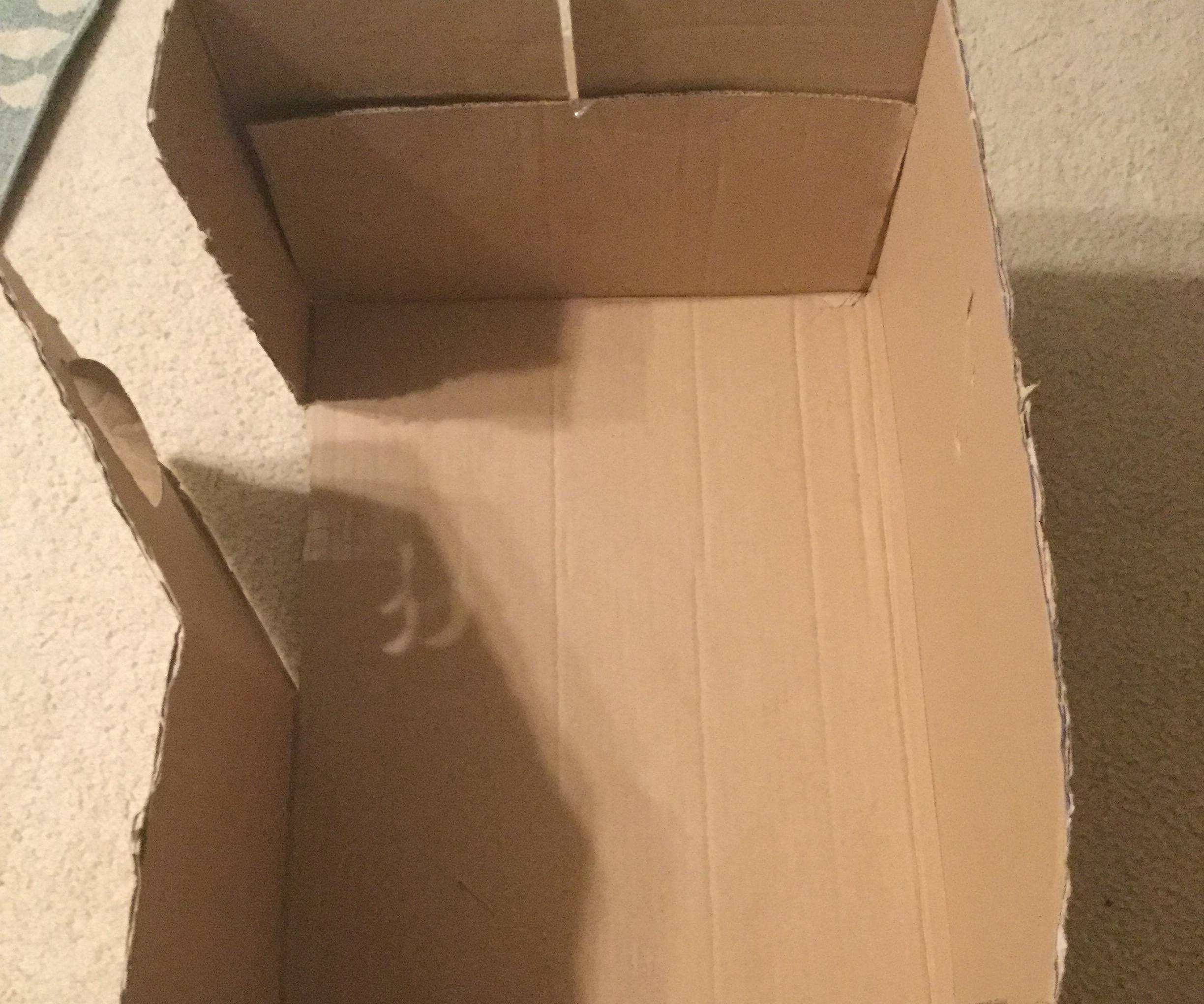 Cardboard to Sled