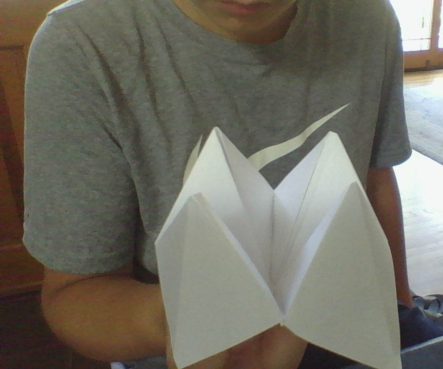 Fortune Teller 
