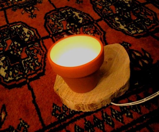A flower pot of light
